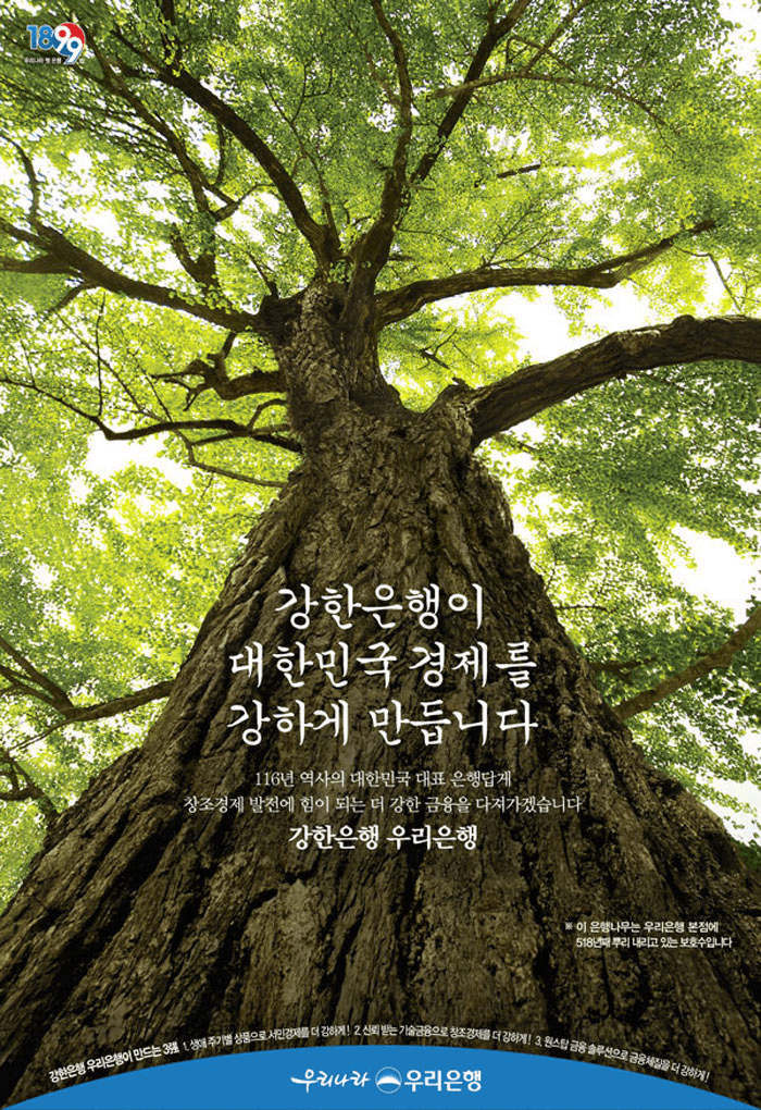 기업PR_은행나무